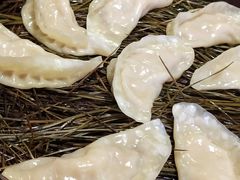 -松针蔡记蒸饺(花园路店)