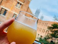 -麦落精酿啤酒餐吧(先农大院店)
