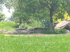 -北京野生动物园