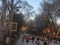 -西宁市人民公园(城西区)