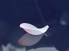 -西塔斗牛家烧烤(中海寰宇店)