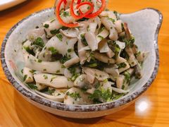 -宁波柏悦酒店·钱湖渔港