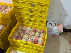 -老袁家蜜桃农场·阳山水蜜桃