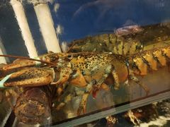 -渔中舟海鲜大排档(普陀沈家门店)