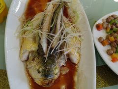 -陶然饺子城(奥体中路店)