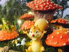 -苏州乐园森林水世界