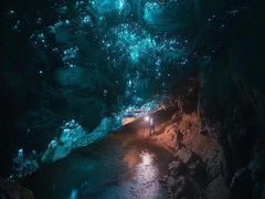 -怀托摩萤火虫洞