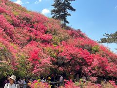 -木兰云雾山