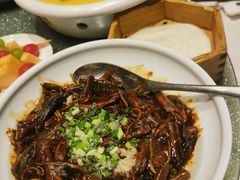 进口白胡椒响油鳝丝夹饼-上海人家花樣年华(中山公园店)