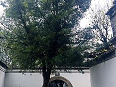 -蒋氏故居