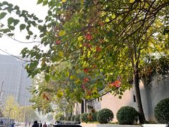 -锦什坊街叁拾伍号大厦