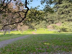 -上海共青森林公园