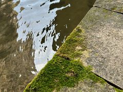 -雁荡山三折瀑景区