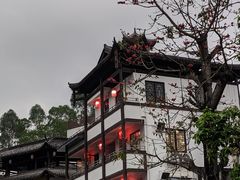 -鹅滋道(甘坑古镇店)