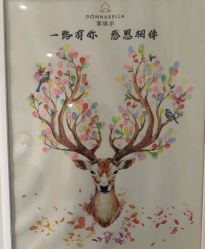 -紫琪尔·胸部养护护理