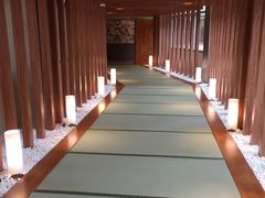 -重庆南山海昌汤都