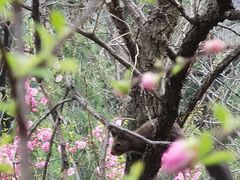 -北京鹫峰国家森林公园