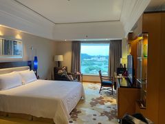 -惠州康帝国际酒店