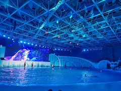 -海合安青岛极地海洋公园