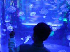 -海合安成都极地海洋公园