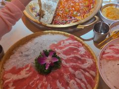 -小龙坎火锅(全球旗舰店)