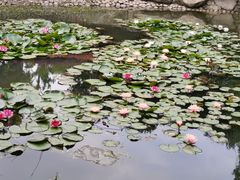 -宁波九龙湖开元度假村
