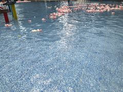 -龙达温泉生态城