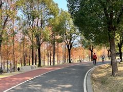 -牛岗山公园