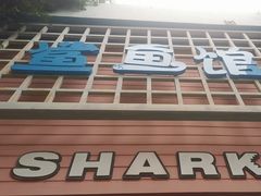-海合安成都极地海洋公园