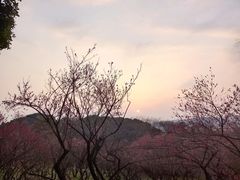 -无锡梅园公园