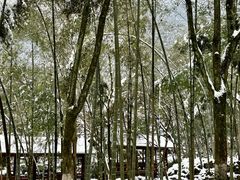 -明月山风景名胜区