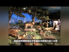 -国家自然博物馆