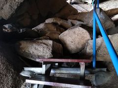 -那琴半岛地质海洋公园