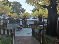 -大汗行宫园林餐厅