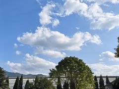 -秦始皇帝陵博物院(兵马俑)