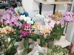 -FEI FEI FLOWER鲜花店·气球派对·宝宝宴布置(虹口德必运动Loft店)