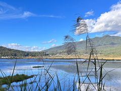 -腾冲北海湿地