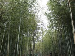 -陶祖圣境风景区