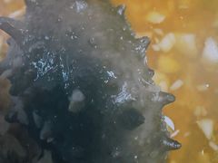 -岳各庄批发市场(西四环中路店)