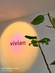 -薇薇安花系SPA