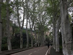 -武汉大学-樱园