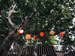 景观位-Ginger(兴国路店)