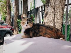 -里面·Noodlology(机电院店)