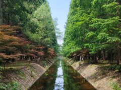 -东平国家森林公园