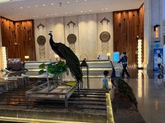 -西双版纳融创皇冠假日度假酒店