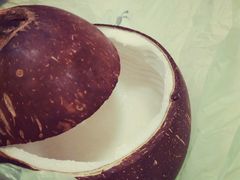 -志龙皇冠吃货椰子铺