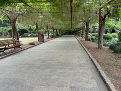 -嘉定紫藤园