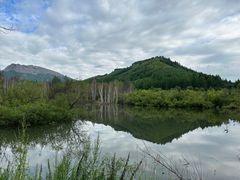 -洮儿河国家湿地公园