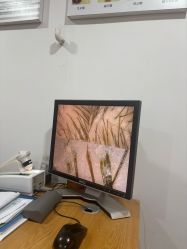 -章光101防脱养发荟