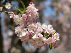 -海棠花溪(元大都城垣遗址公园)